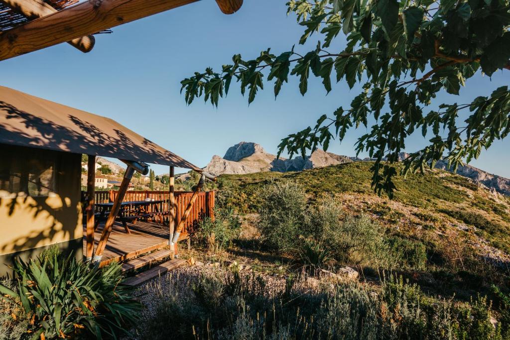 Can Elisa Safari Tent