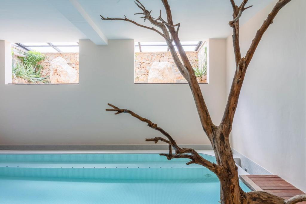 Hotel Castell de la Solana